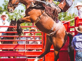 Plenty of action will be in full display during the two-day rodeo which is coming to Keterson Park June 30-July 1. EMILY GETHKE PHOTO