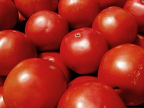 tomatoes