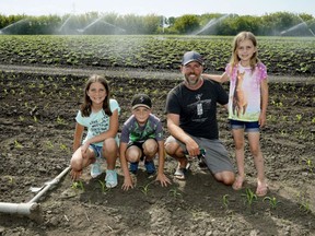 Aaron Herbert with his children (left to right) Evie, Layne and Carly in their corn and potato field on May 25. 

Larry Wong/Postmedia Network