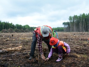 Grade 4 students planted trees and learned about forestry at the Huestis Demonstration Forest near Whitecourt on May 31 (Peter Shokeir | Whitecourt Star).