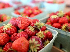 The strawberry season is upon us in Chatham-Kent. Agricultural specialist Kim Cooper writes that some strawberries are now grown in the community from May until October, and notes there’s more reason for residents to eat local rather than consume imported strawberries. File photo/Mike Hensen/Postmedia Network