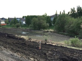 A drained wetland in Ardrossan as a result of ongoing residential development has sparked concerns from area residents who have witnessed a loss of wildlife and natural space.