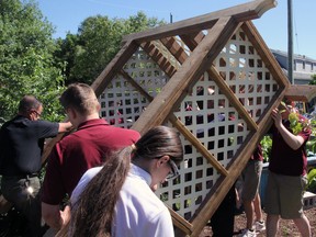 Students from École Secondaire Catholique Algonquin help to put up an archway at The Gathering Place Garden Monday. Christian Paas-Lang / The Nugget