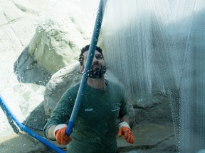 Dylan McCart, conservation coordinator at the Cochrane Polar Bear Habitat, cleans the window inside one of the enclosures.  General cleaning and maintenance are among the many tasks with which the habitat is looking for help.  The facility will be hosting an information session about volunteering on Friday, June 15.