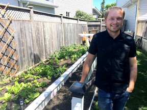 Nick Pearce/For The Whig-Standard
Adam Jenkins of Greenwood Park Micro Farm of Kingston grows produce for his neighbourhood all summer to spread the word on urban farming.