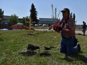 Permaculture Design Certification student Leo Bruno takes part in the planting of a food forest last week at Ermineskin Junior/Senior High School. (Melissa Wilk/Special to the Times)