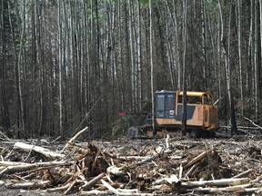 Work being done on a fire line that was cut in the Timberlea area on day three of the re-entry into Fort McMurray, June 3, 2016. Ed Kaiser/Postmedia Network