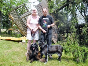 Dan and Shelley McKenzie of Waterford  have a major cleanup on their hands after an EF-2 tornado last week toppled nearly 20 mature spruce trees. MONTE SONNENBERG / SIMCOE REFORMER