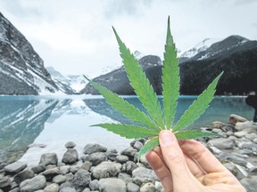 A paper cutout of a cannabis leaf in front of Lake Louise. In 2016, Lake Louise was one of the top spots in Canada per capita for marijuana busts.