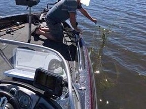 One of two ghost nets were found floating in Lake Nipissing Tuesday containing hundreds of rotting fish.