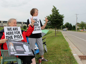 Carla Kuijpers, left, and Pamela Roberts peacefully protest the Ontario Pork Congress on Wednesday, June 20, 2018 in Stratford, Ont. (Terry Bridge/Stratford Beacon Herald)