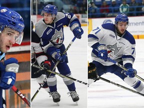 From left, Sudbury Wolves Zack Mailk, Kirill Nizhnikov, Peter Stratis and David Levin. Gino Donato and John Lappa/The Sudbury Star/Postmedia Network