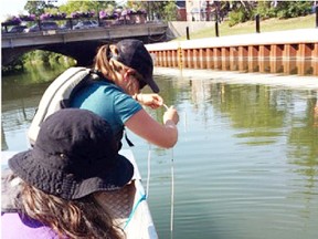Researchers from Trent University take samples from the Owen Sound harbour. SUPPLIED PHOTO