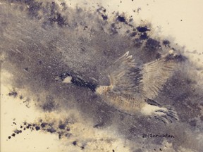 PHOTO SUPPLIED
Holly Crichton’s “Canada Goose in Flight” will be one of her collections of watercolour paintings on display at her solo show at BACS until July 26. The former celebrated jockey discovered her artistic talent after a devastating racetrack accident left her paralyzed from the chest down.