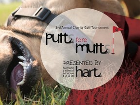 The Humane Animal Rescue Team (HART) is preparing to put on its third annual Putts Fore Mutts Golf Tournament at the Links in Spruce Grove July 6.