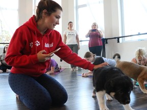 Cindy Duggan a volunteer for SCARS and the organizer of Puppy Yoga petting a puppy at Sculpt Fit June 16.