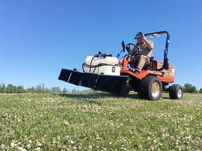 Edward Chodowski of Eco-Tick Solutions sprays a garlic-based solution along the side of Centennial Drive as part of a pilot project to test its effectiveness on containing ticks and mosquitos and keeping geese from wandering onto the road in Kingston, Ont. on Friday, June 22, 2018. 
Elliot Ferguson/The Whig-Standard