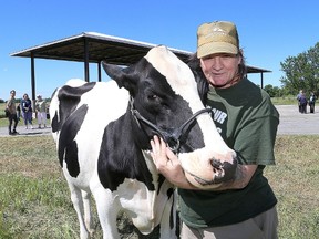Shaun Shannon, a former inmate at Frontenac Institution who worked on the Collins Bay prison farm from about 1996 to 2001 at the reopening of the prison farms announcement at Joyceville Institution on Thursday June 21 2018. He's with Morning Joy, a three-year-old heifer that is a descendant of the Joyceville herd. Ian MacAlpine/The Whig-Standard