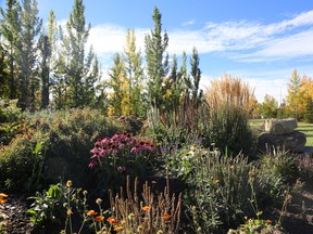 Suzie Broadbent/Windrush Images
The Botanical Gardens of Silver Springs is a 100 per cent volunteer-run botanical garden in Calgary that has operated as a registered charity since 2006.