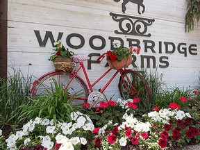 Communities in Bloom judging includes all aspects of beautifying communities, from cleanliness and green approaches, to flower beds and community involvement.

File Photo