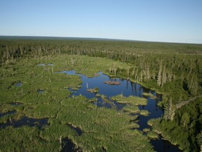 Wood Buffalo National Park. Supplied Image/Parks Canada