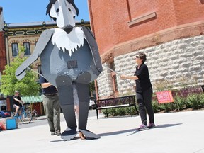 SpringWorks’ giant wolf puppet, with the help of chairperson Wendy McNaughton, right, patrols Market Square on Tuesday, June 26, 2018 in Stratford, Ont. Terry Bridge/Stratford Beacon Herald/Postmedia Network