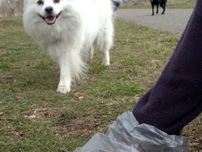 Strathcona County residents are asked to dispose of animal droppings in their organics bin, using compostable bags over plastic or biodegradable ones.

Stuart Dryden/Postmedia Network