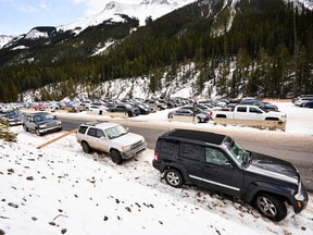 Vehicles parked in the Sunshine Village parking lot and along the side of the ski and snowboard resort's access road on Sunday, Nov. 20, 2016. Daniel Katz/ Crag & Canyon.