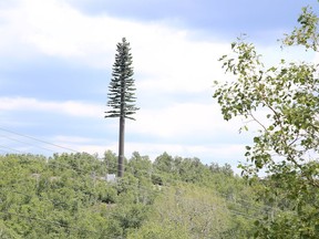 A Rogers cell tower designed to look like a pine tree looms high above the natural canopy near Long Lake. Some residents think it's a nice touch, others find it an eyesore, and a few are simply confused. (Gino Donato/Sudbury Star)