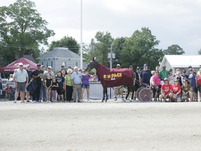 On July 8, Ontario Sire Stakes are in town for Raceway’s richest race — $60,000 Kin Pace — to cap off afternoon of live harness racing. Pictured is 2017 Kin Pace Winner, The Joy Luck Club. (CONTRIBUTED PHOTO)