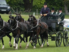 The Carriage Classic Showcase offers spectators an opportunity to be entertained and educated about the sport of carriage driving.