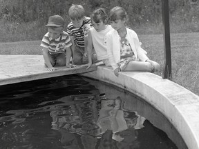 These young children were looking into a fish holding tank in July 1965. Do you know who they are? Email frupnik@postmedia.com