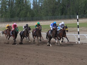 PHOTO SUPPLIED
Horse racing starts at Evergreen Park on Saturday. The Horses At Evergreen Park goes every Friday, Saturday and Sunday (except for this Friday) at J.D.A. Raceway at Gordon Badger Stadium until Sunday, August 26.