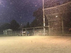 Shad flies were so thick around the lights at Amelia Ball Field, Wednesday, officials canceled a North Bay Minor Girls Softball Association game due to lack of visibility. Payton Sparling Facebook Photo