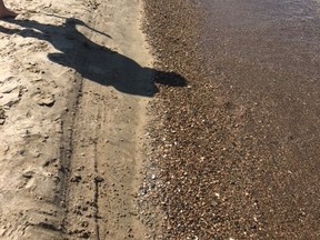 This photo, supplied by Friends of Sauble Beach, shows the pebbles that now line the shoreline at the popular Lake Huron beach.