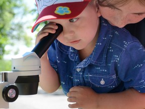Jonathan Ludlow/The Intelligencer
Benny Wilkinson, 3, looks through a microscope to get a better look at wildlife specimens such as butterflies, at the Wild for Wildlife day at Potter's Creek Conservation on Friday.