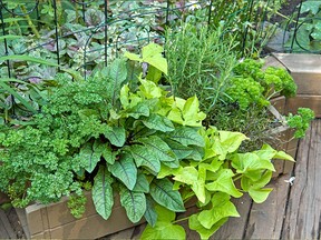 Container gardening