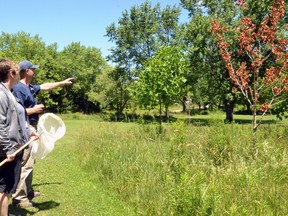 Wildwood community education technician Erin Dolmage and superintendent Paul Switzer hunt for some fresh new ways to help the Upper Thames River Conservation Authority spread its conservation messaging. Galen Simmons/The Beacon Herald/Postmedia Network