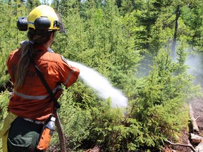 Ministry of Natural Resources and Forestry Photo