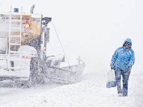 A woman battles the driving snow as a snowplow drives by during a winter storm  Errol McGihon/Postmedia