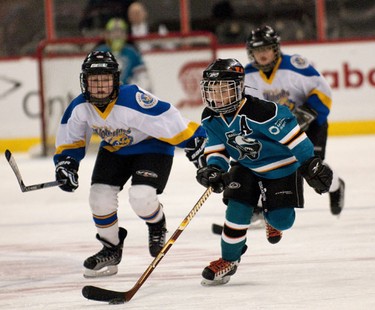 OTTAWA, Ont. (03/01/11)-- The West End Sharks and the Masson-Angers Sharks play in an Atom House B championship game in Scotiabank Place, Monday, during the Bell Capital Cup. The West End Sharks won the championship with a score of 2-1. Photo by Hadas Parush.