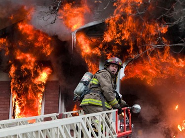 A major fire in the Glebe area of Ottawa on Monday January 19,2010. An Ottawa Firefighter yells instructions from the ladder while fighting the blaze. (ERROL MCGIHON/THE OTTAWA SUN)