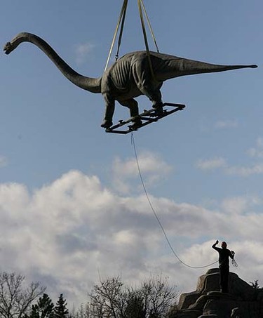 Calgarians driving by the zoo were taking second looks as a crane took away life-sized dinosaur statues, Sunday, November 7, 2010. DARREN MAKOWICHUK/QMI AGENCY
