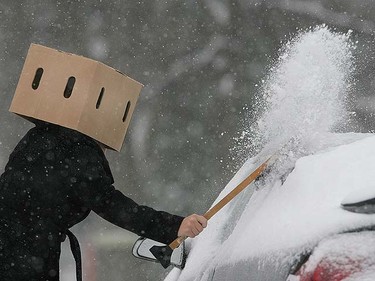 Jessica Penner protects herself with a cardboard box as she sweeps off her car during a snowstorm in Winnipeg, November 24, 2010. Brian Donogh/QMI Agency
