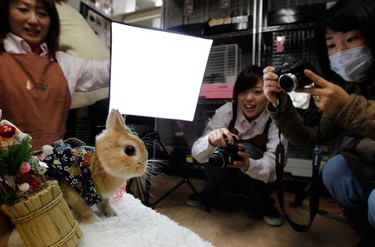 A pet rabbit is dressed as Santa Claus at a photo event to celebrate Christmas and the Year of the Rabbit at a pet rabbit shop in Yokohama, south of Tokyo, Dec. 21, 2010. The year 2011 is the Year of the Rabbit on the Chinese zodiac calendar.  (REUTERS)