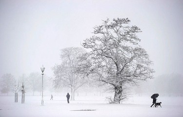 A man walks his dog across Clapham Common as heavy snow falls on London on Dec. 18, 2010. Fresh snow brought much of Britain to a standstill on Saturday, on what is traditionally the busiest weekend for shopping and travel in the run-up to Christmas. (REUTERS)
