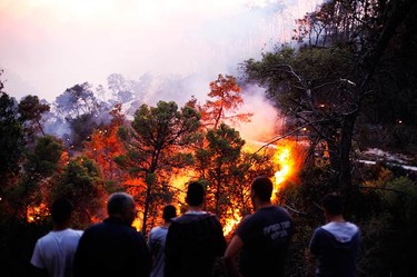 People watch a forest fire that broke out near the outskirts of the Druze village of Osafia in the north of Israel on Dec. 2, 2010. A massive forest fire in northern Israel killed at least 40 people on Thursday, with many others injured. (REUTERS)