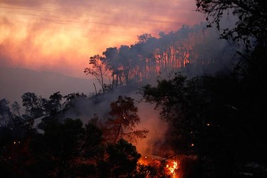 A forest fire is seen in the kibbutz of Beit Oren in the north of Israel on Dec. 2, 2010. A massive forest fire in northern Israel killed at least 40 people on Thursday, with many others injured. (REUTERS)