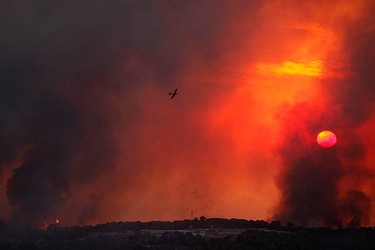 A fire-fighting plane flies over a forest fire that broke out in the kibbutz of Beit Oren in the north of Israel on Dec. 2, 2010. A massive forest fire in northern Israel killed at least 40 people on Thursday, with many others injured. (REUTERS)