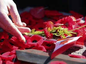 A person lays a poppy down on the Tomb of the Unknown Soldier during the National Ceremony of Remembrance at the National War Memorial in Ottawa Thursday Nov 11, 2010. (ANDRE FORGET/QMI AGENCY)